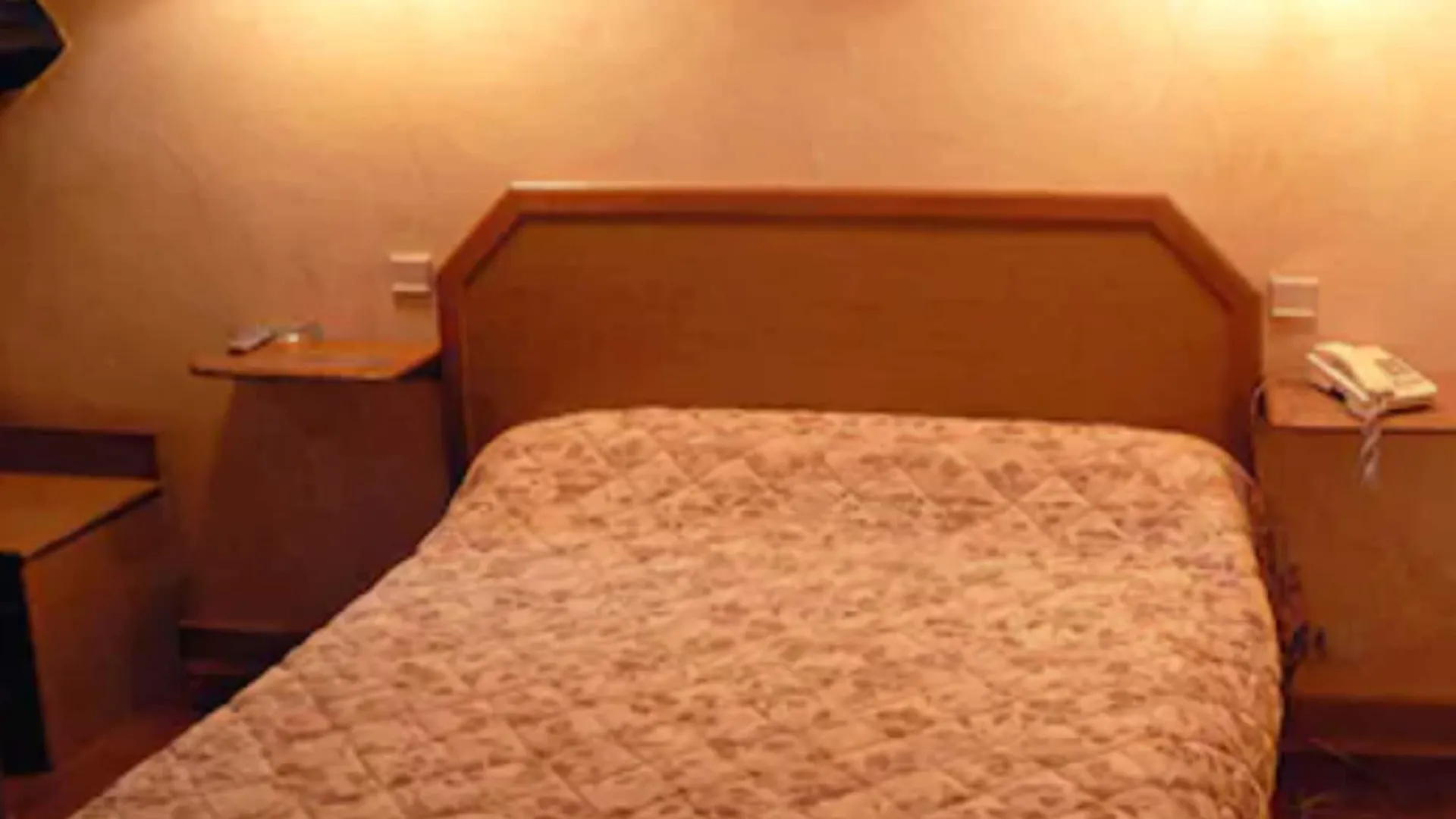 Hotel Leonard De Vinci Ii