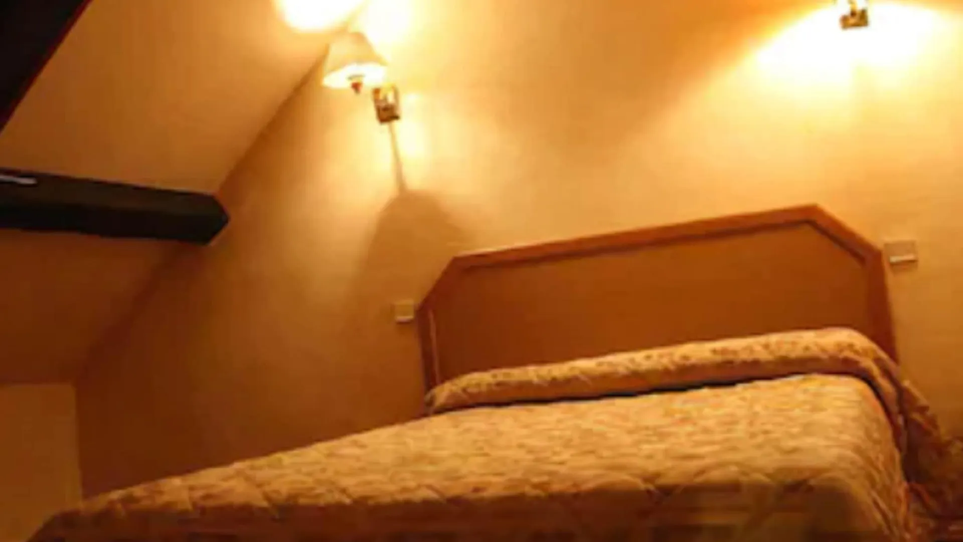 Leonard De Vinci Ii Hotel *